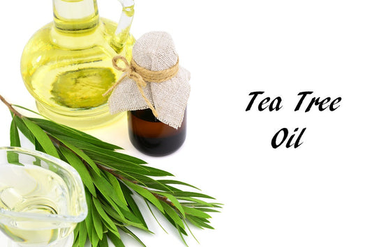 10 Remarkable Benefits Of Tea Tree Essential Oil