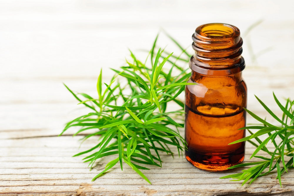 Can I Put Tea Tree Oil On My Pubic Area? (A Safety-Focused Guide)